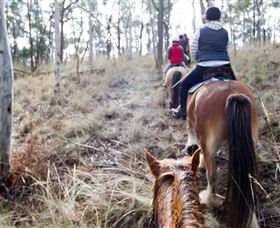 Burnelee Excursions On Horseback - Accommodation Brisbane 1