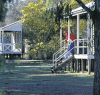 Dryandra Woodland - Accommodation Brisbane