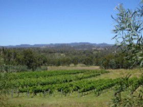 Pyramids Road Wines - Accommodation Brisbane 3