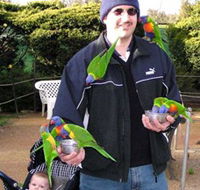 Canberra Walk In Aviary - Accommodation Brisbane