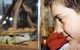 Canberra Reptile Zoo - thumb 0