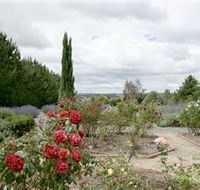 Crystal Brook Lavender Farm - Accommodation Brisbane
