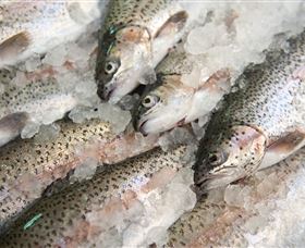 Arc-en-Ciel Trout Farm - Accommodation Brisbane 3