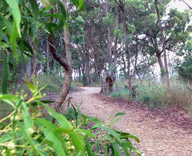 Attunga NSW Accommodation Brisbane