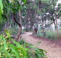 Mount Mutton Walking Trail - Accommodation Brisbane