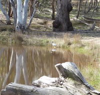 Mulligans Flat