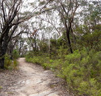 Six Foot walking track - Accommodation Brisbane