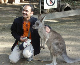 Activity Tours Australia - Accommodation Brisbane 3