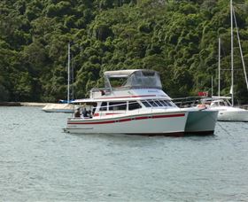 Waratah Adventure Tours - Accommodation Brisbane 1