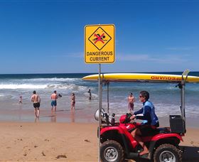 Waratah Adventure Tours - Accommodation Brisbane 2