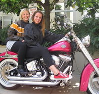 Wild Ride Harley and Motorcycle Tours