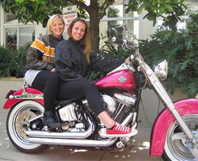 Wild Ride Harley And Motorcycle Tours - Accommodation Brisbane 0
