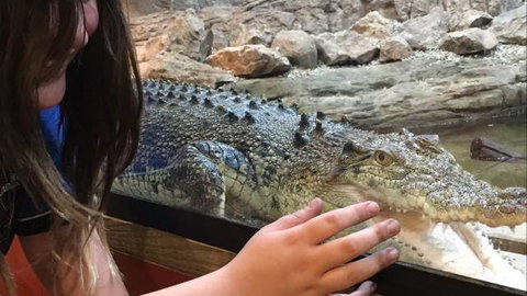 Canberra Reptile Zoo - Accommodation Brisbane 3