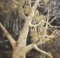 Ku-Ring-Gai Art Centre  Gallery - Accommodation Brisbane