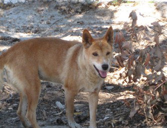  Accommodation Brisbane