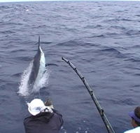 Amokura Charters - Accommodation Brisbane