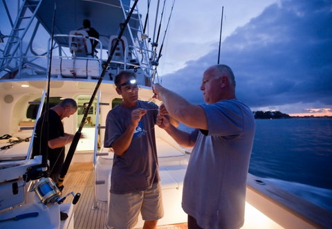 Amokura Charters - Accommodation Brisbane 1