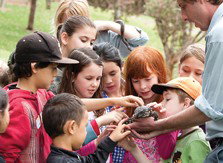 Blackbutt Reserve - Accommodation Brisbane 2