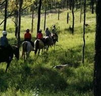 Hunter Valley Horse Riding and Adventures - Accommodation Brisbane
