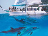 Imagine Cruises - Accommodation Brisbane 2