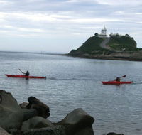 Newcastle Kayak Tours - Accommodation Brisbane