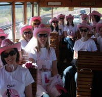 Newcastles Famous Tram - Accommodation Brisbane