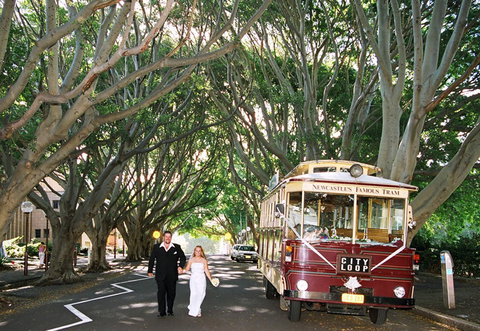 Newcastles Famous Tram - Accommodation Brisbane 2