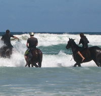 Pegasus Park Equestrian Centre - Accommodation Brisbane