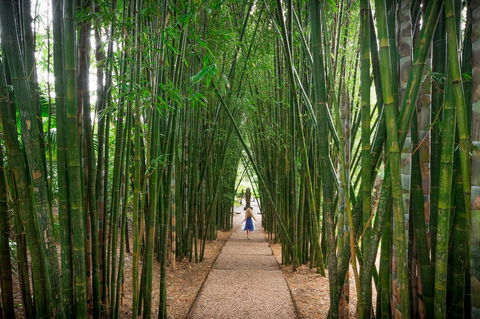 Crystal Castle & Shambhala Gardens - Accommodation Brisbane 1