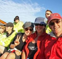 Byron Bay Whale Watching - Accommodation Brisbane