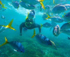 G Adventures - Accommodation Brisbane 0