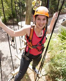 Wild Ropes At Taronga Zoo - Accommodation Brisbane 3