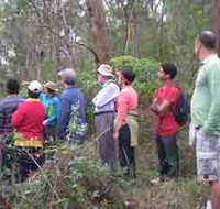 Boronia Tours - Accommodation Brisbane
