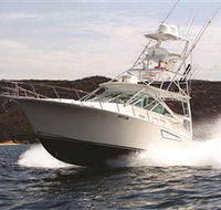 1300 Big Fish - Accommodation Brisbane