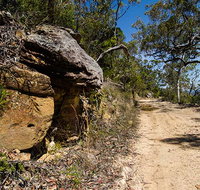 Canoelands Ridge walking track - Accommodation Brisbane