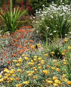Mt Penang Gardens - Accommodation Brisbane 4
