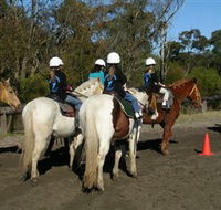 Darkes Forest Riding Ranch - Accommodation Brisbane