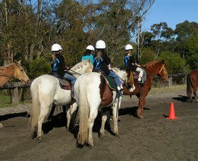 Darkes Forest Riding Ranch - Accommodation Brisbane 0