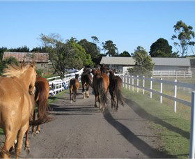 Darkes Forest Riding Ranch - Accommodation Brisbane 1