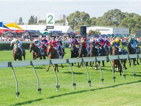 Morphettville Racecourse - Accommodation Brisbane 0