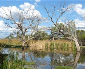 Lagoon Creek - Accommodation Brisbane 0