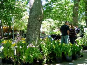 The Stirling Market - Accommodation Brisbane 0