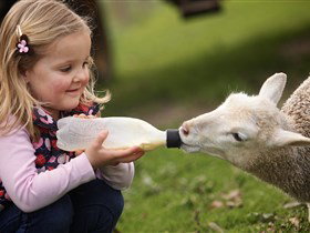 Hahndorf SA Accommodation Brisbane