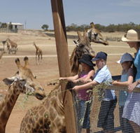Monarto Open Range Zoo - Accommodation Brisbane