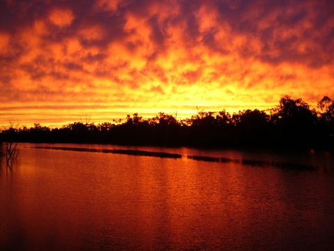 Warrego River Walk - Accommodation Brisbane 0