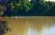 Warrego River Walk - thumb 3