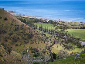 Lady Bay Beach - Accommodation Brisbane 1