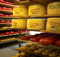 Alexandrina Cheese Company - Accommodation Brisbane