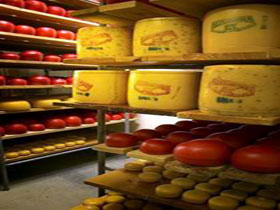 Alexandrina Cheese Company - Accommodation Brisbane 0