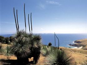 Deep Creek Conservation Park - Accommodation Brisbane 2